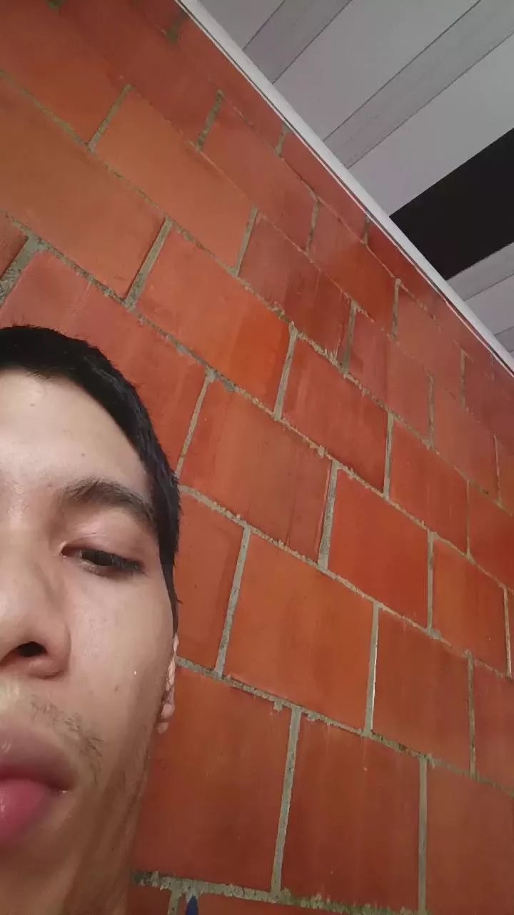 Offline avellenedasebas on Cam4