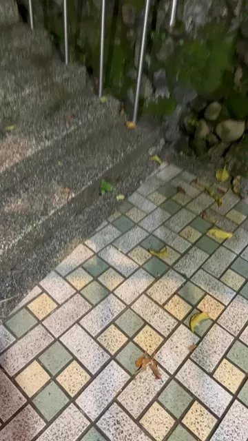 Offline ccs588033123 on Cam4