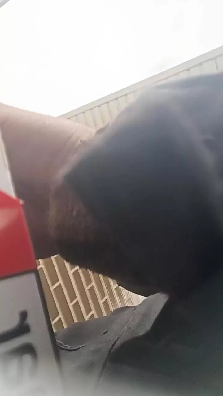 Offline Kingunner18 on Cam4