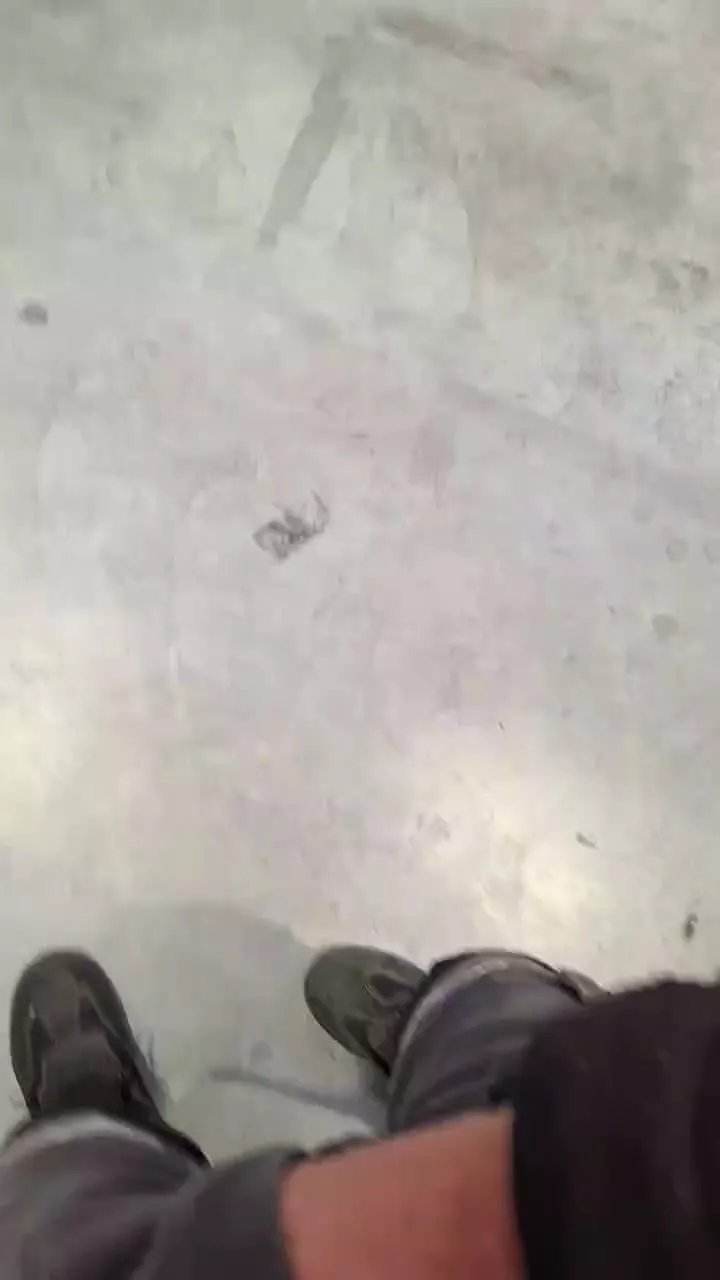 Offline plaisir442 on Cam4