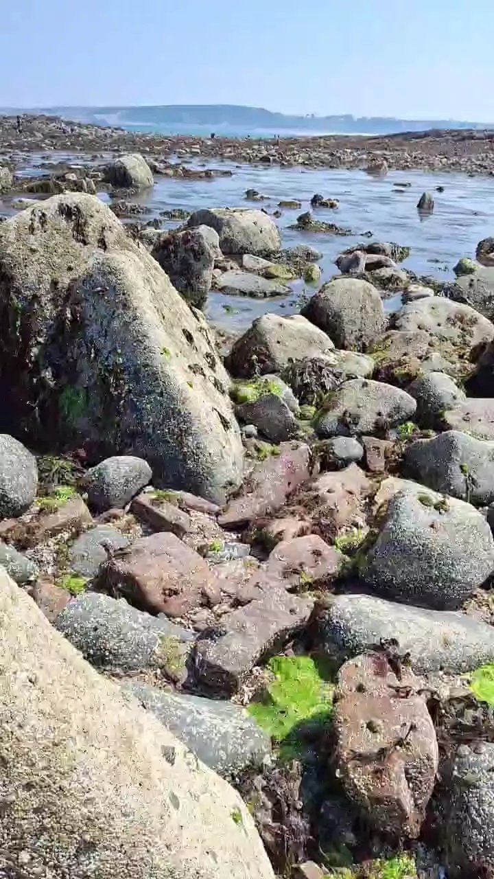 Offline plaisir442 on Cam4