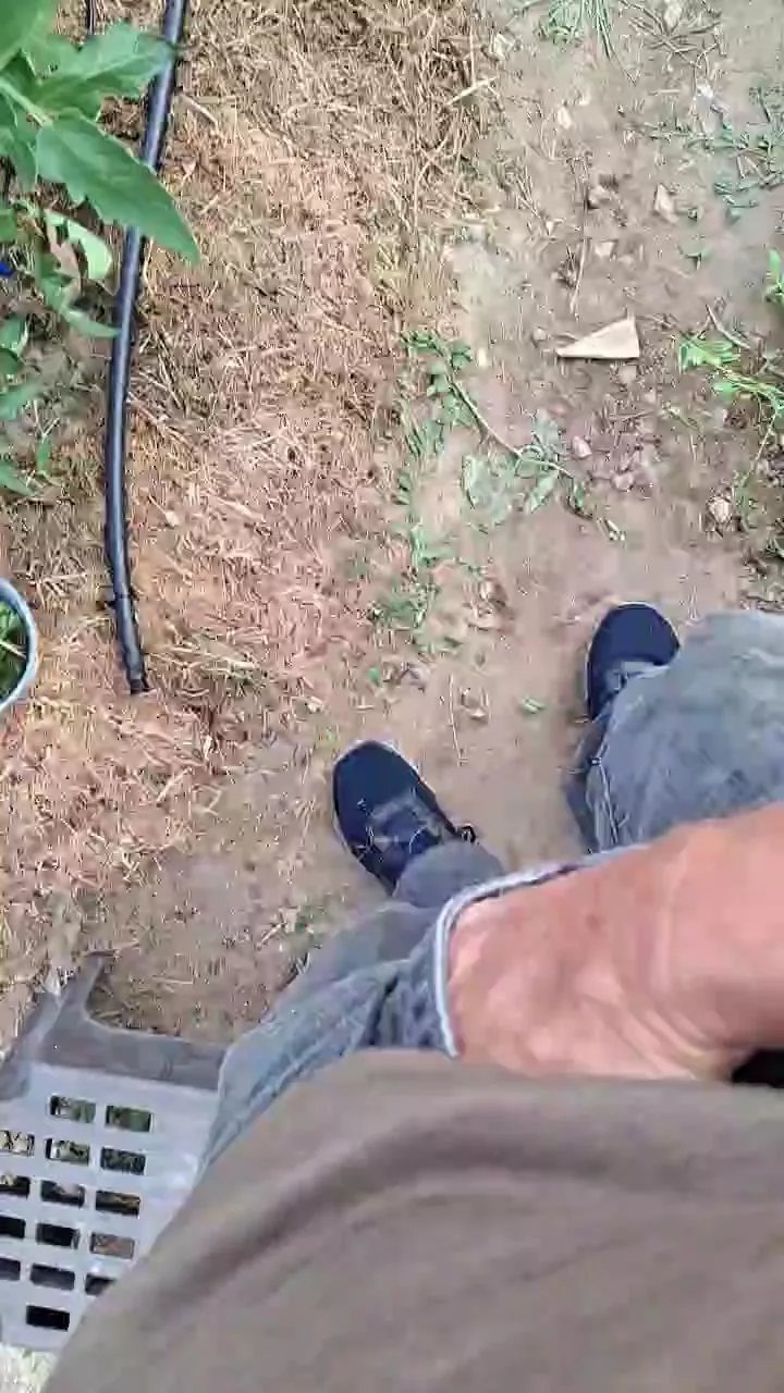 Offline plaisir442 on Cam4