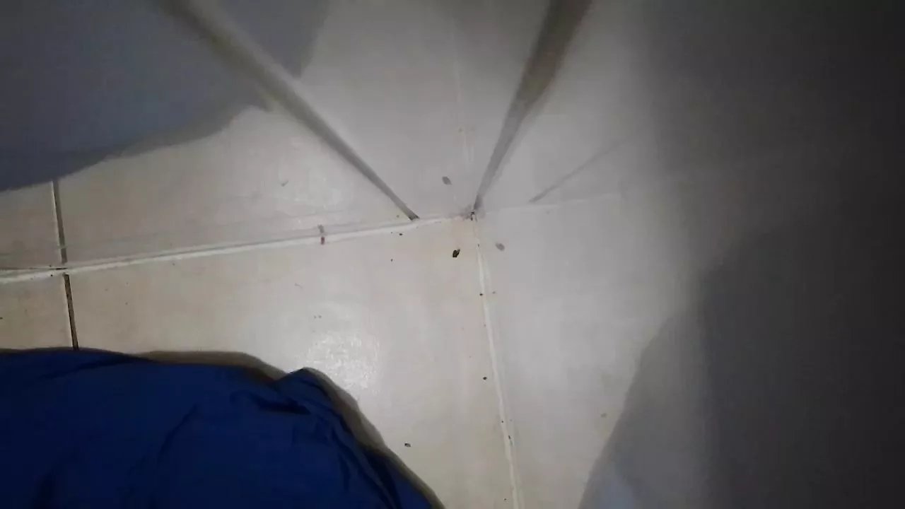 Freechat Sofia2024cl on Cam4