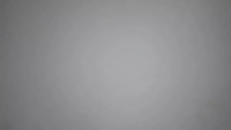 Freechat Sofia2024cl on Cam4