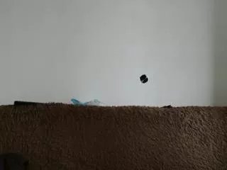 Offline arti_hard on Flirt4Free