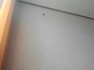 Offline lacey_emerson on Flirt4Free