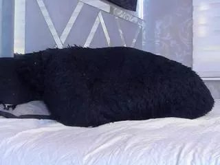 Offline reynel_castro on Flirt4Free